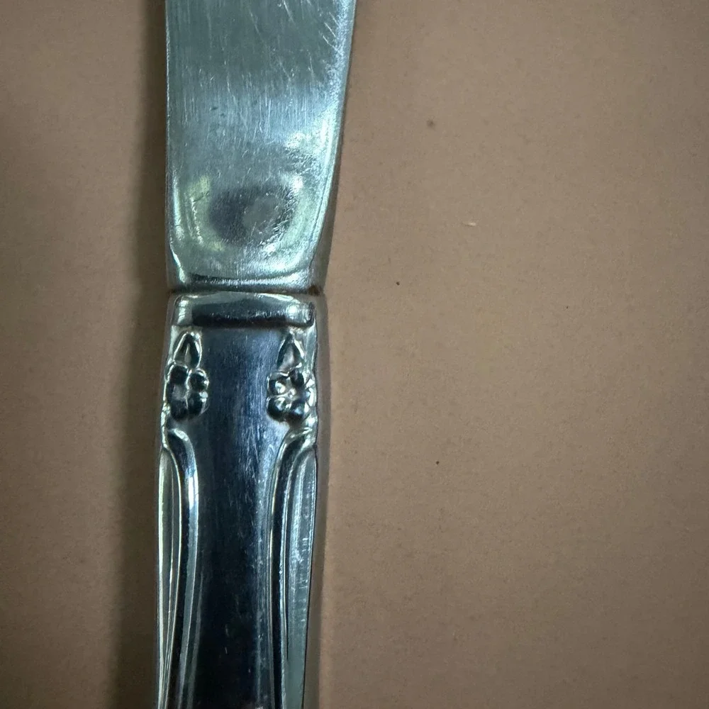 Oneida Chateau Stainless Steel Dinner Knives 8.5 Inch Set of 5 Floral Scroll